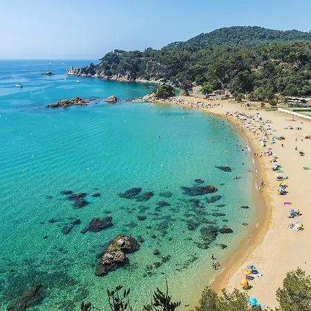 Apt Petxina Beige Appartement Lloret de Mar